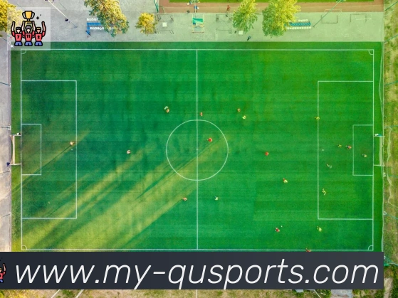 趣体育服务体系